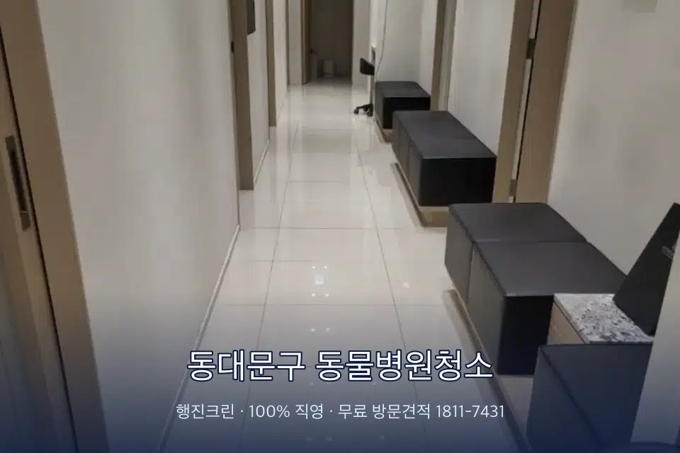 동대문구 동물병원청소 병원 복도 바닥을 닦는 청소 작업자