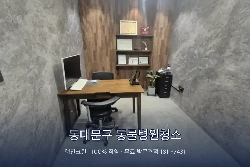 동대문구 동물병원청소 원장실 책상 주변 청소